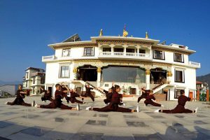Les monges de Kung fu