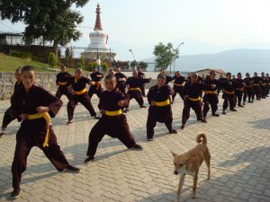 Les monges de Kung fu